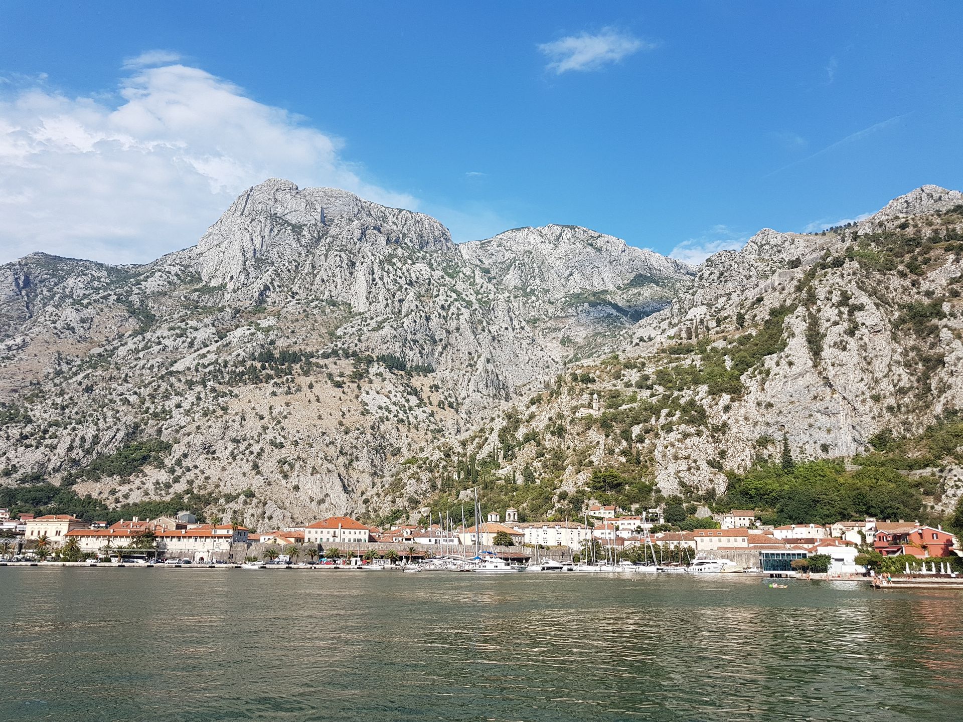 Kotor